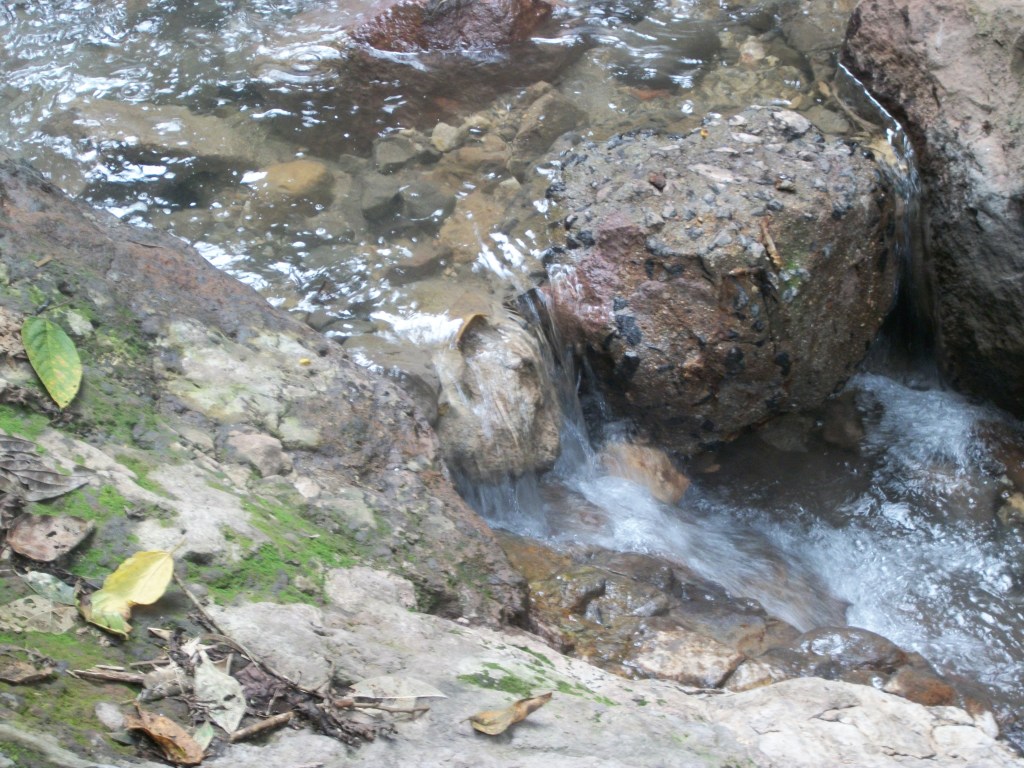 Foto de Laa'in aj Eenriik para Popol Mayab'.